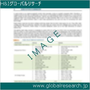 グローバルリサーチ調査レポートのイメージ